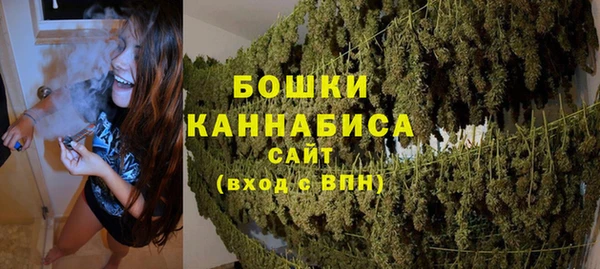 ешки Снежногорск