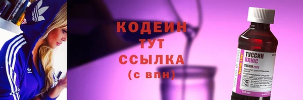 гашик Абаза