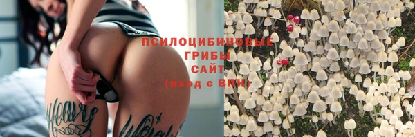 тгк Абинск