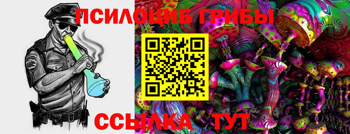 Галлюциногенные грибы Psilocybe  где купить   Дальнереченск  Вход с VPN 